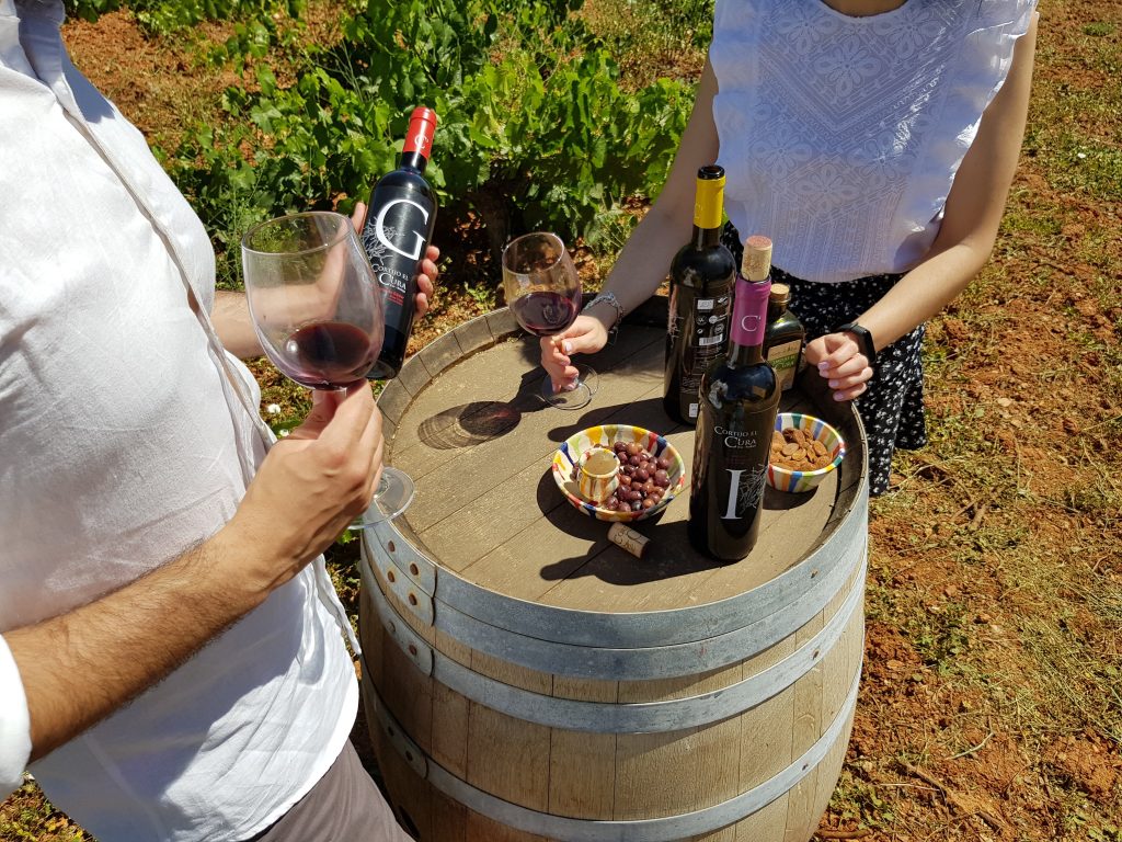 visita a bodega y cata de vinos en almeria