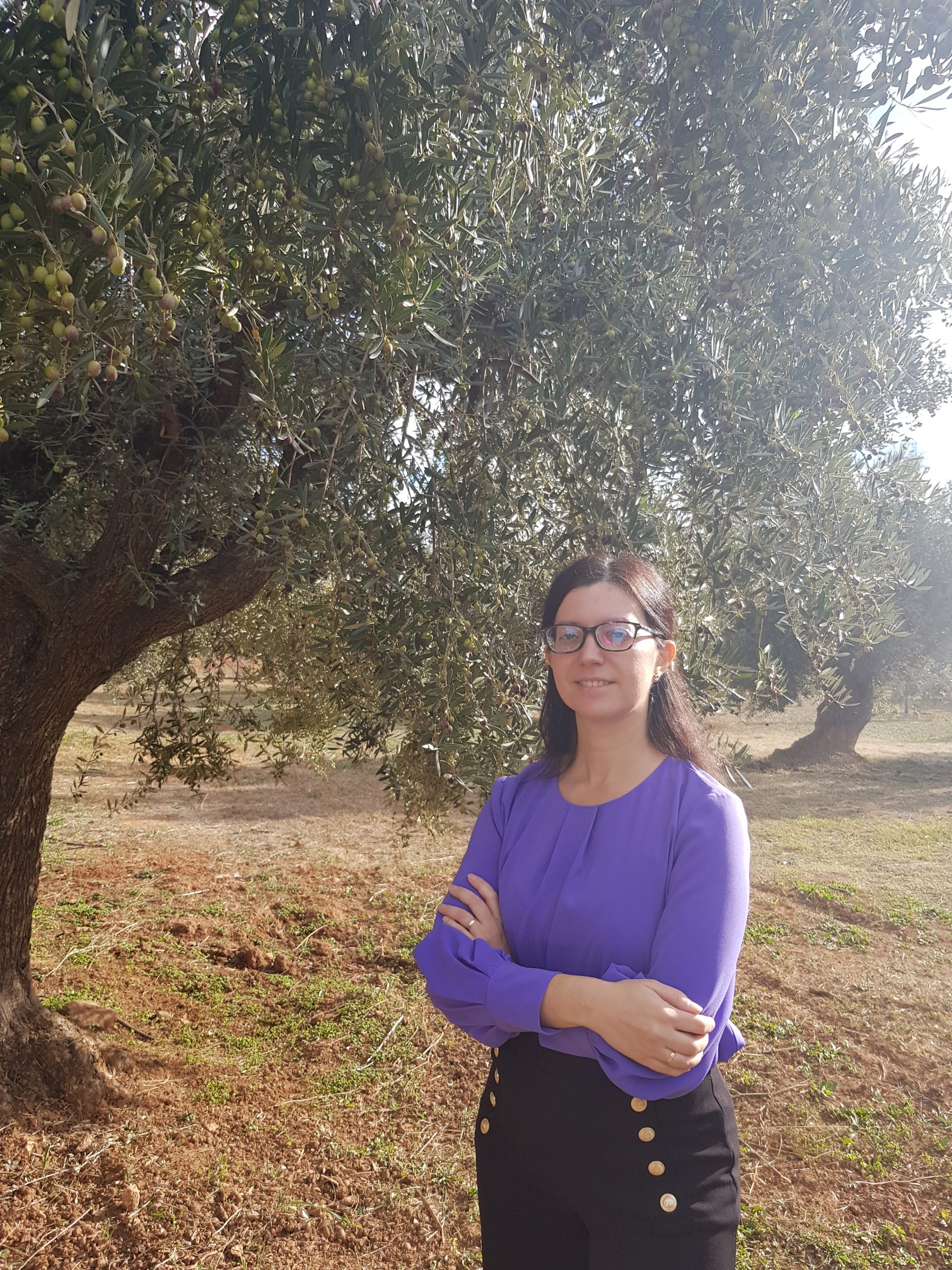 Olivos de Cortijo El Cura Eco-Bodega en Laujar de Andarax Almería visita a bodega y cata de vinos