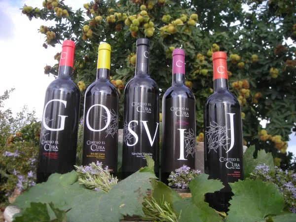 Botellas de vinos ecológicos de Cortijo El Cura Eco-Bodega Laujar La Alpujarra Almeria