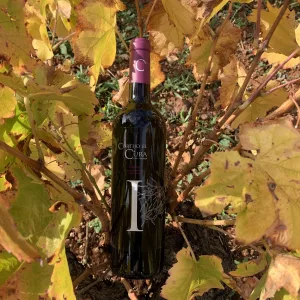 Botella de vino rosado joven Infante entre pámpanos amarillos de una cepa de viña en otoño