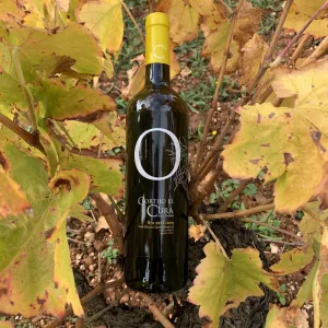 Botella de vino blanco Oro del Llano joven entre los pámpanos de una cepa de viña