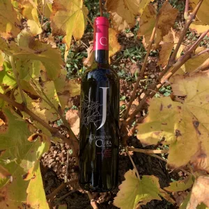 Botella de Vino tinto roble BIO Jáncor dentro de una cepa de viña en otoño